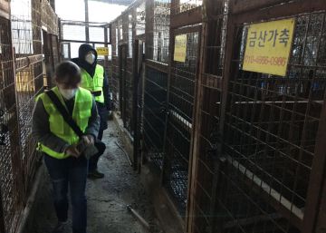 Corea del Sur convierte su mayor matadero de carne de perro en un parque público