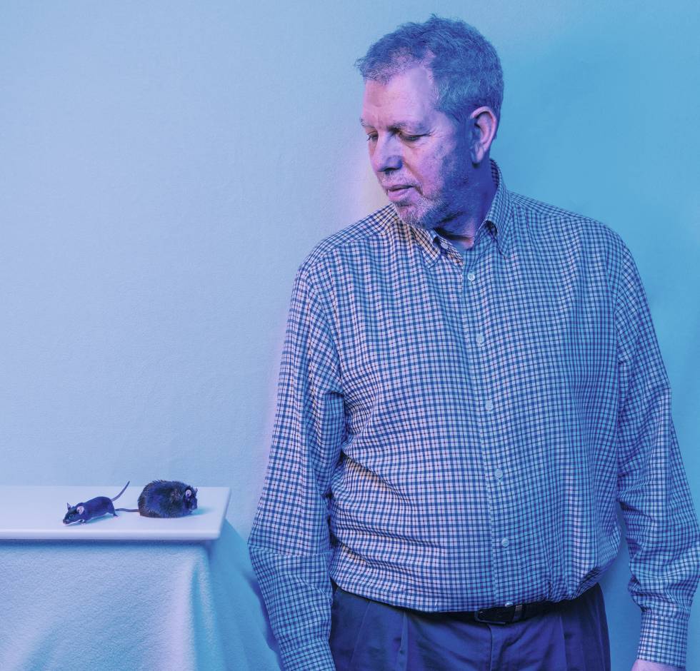 El endocrinólogo Jeffrey Friedman, una de las máximas autoridades del mundo en obesidad y premio BBVA Fronteras del Conocimiento de Biomedicina con los ratones que utiliza en su laboratorio.