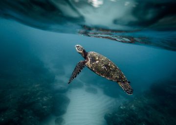 Océanos, mares y ríos que pueden salvar África