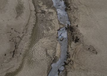 Así nos afecta el cambio climático, según un informe de Greenpeace