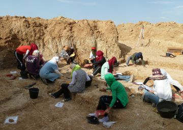 Halladas herramientas de la primera cultura humana de hace 2,4 millones de años