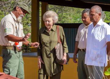 Beatriz de Holanda, de reina a imparable princesa