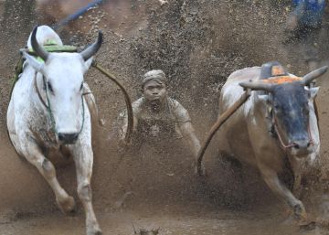 Las 20 mejores imágenes de la semana