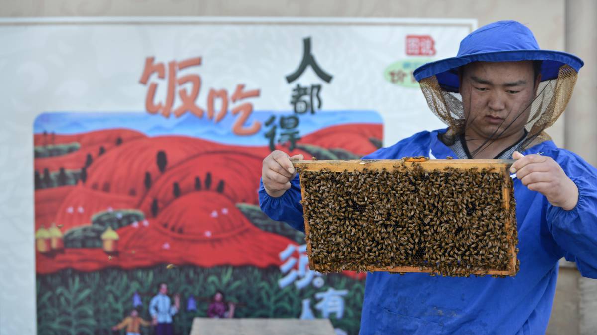 Un apicultor chino en la provincia de Zhejiang.