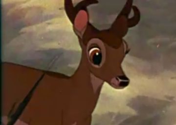 Tribunal condena caçador a assistir a ‘Bambi’ uma vez por mês nos EUA