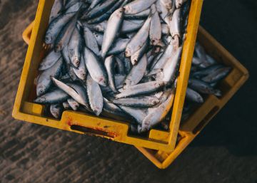 Primera reducción de la sobrepesca en el Mediterráneo en 10 años