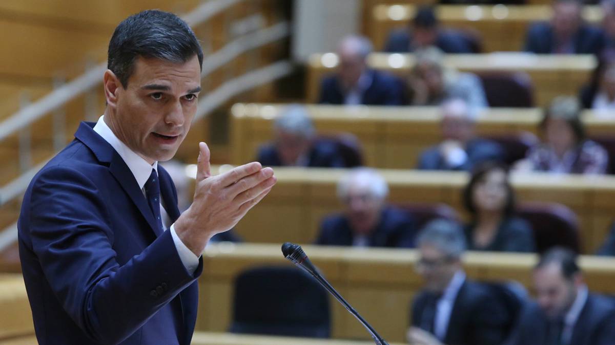 Pedro Sánchez, hoy en el Senado.