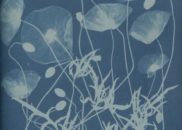 Anna Atkins: el legado azul de una visionaria