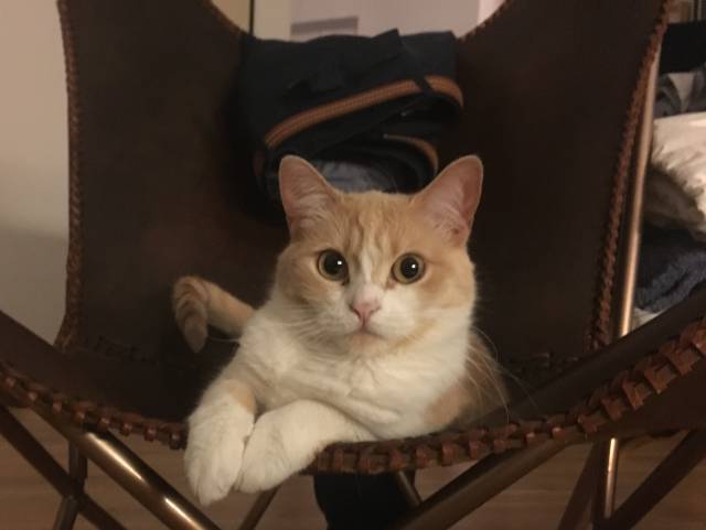 Con esta cara me quedé al saber que era adoptada. Tan a gusto.