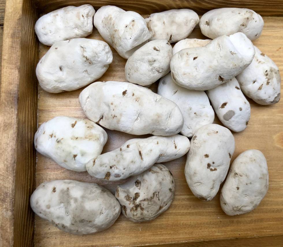 CHUÑOS (PATATAS LIOFILIZADAS DE FORMA NATURAL) CAPEL