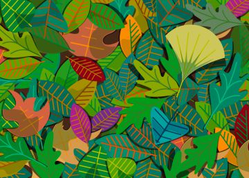 Este libro te guía por la magia de los bosques