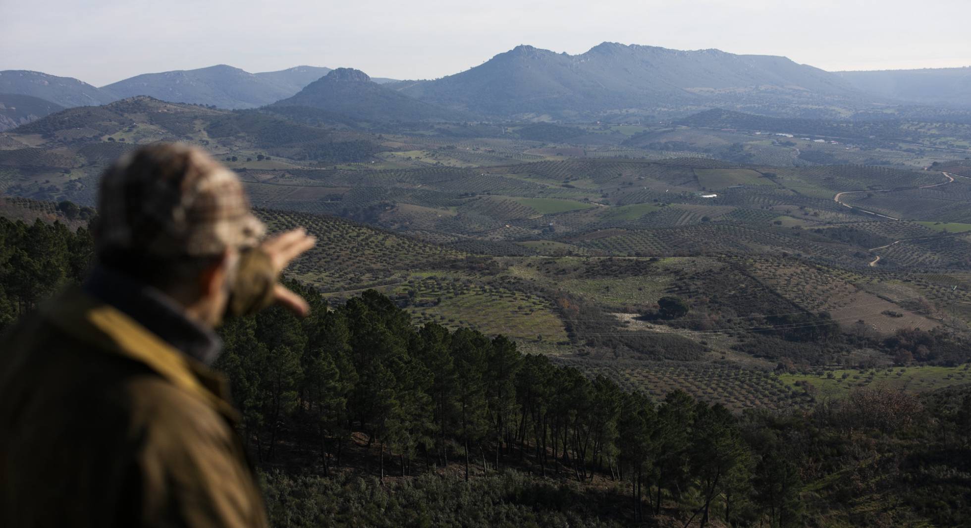 Panorámica de la Colonia de Cañamero (Cáceres).