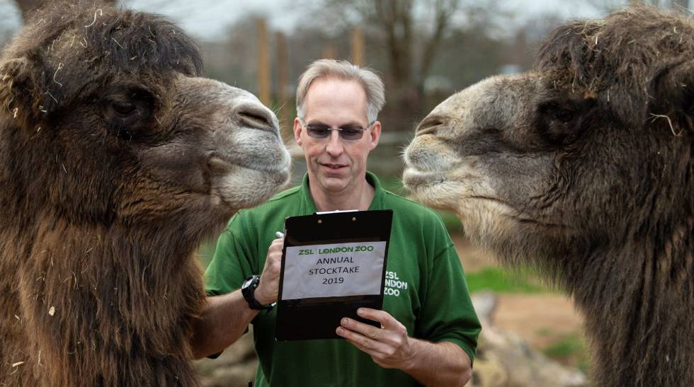 zoo londres