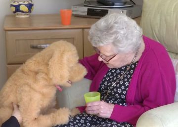 Las mascotas robóticas: fieles compañeras de las personas con Alzheimer