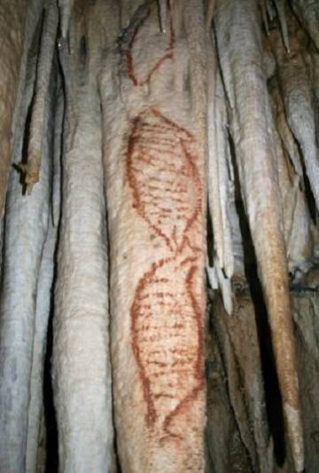 Bats and skeletons: how five kids discovered a priceless cave in Spain