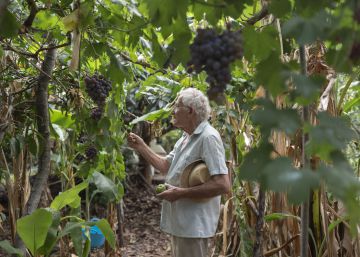 El valenciano que se hizo un seguro contra el hambre