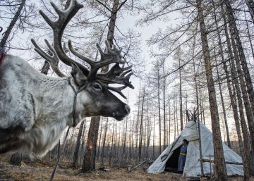 La ancestral tribu siberiana que choca con la ecología