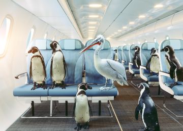¿Por qué hace tanto frío en los aviones?