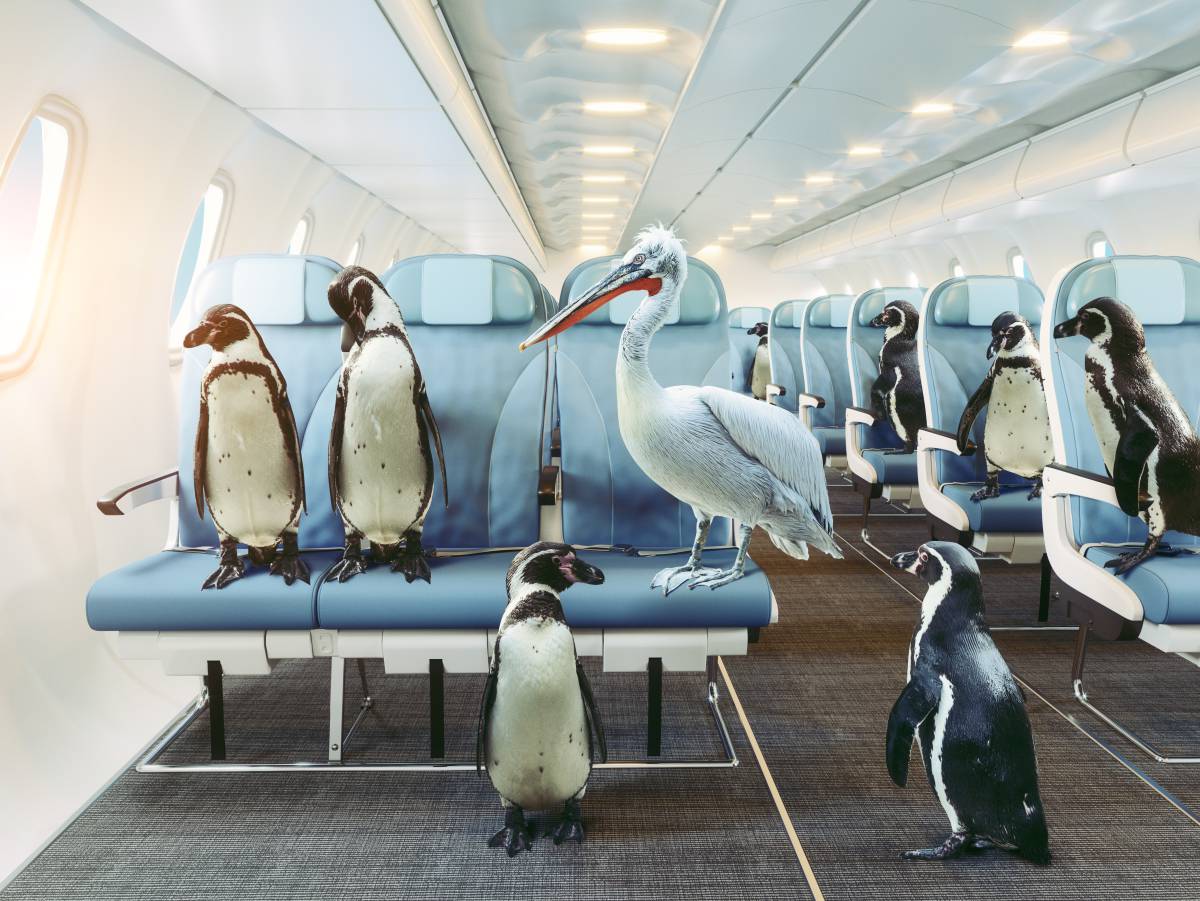 ¿Por qué hace tanto frío en los aviones?