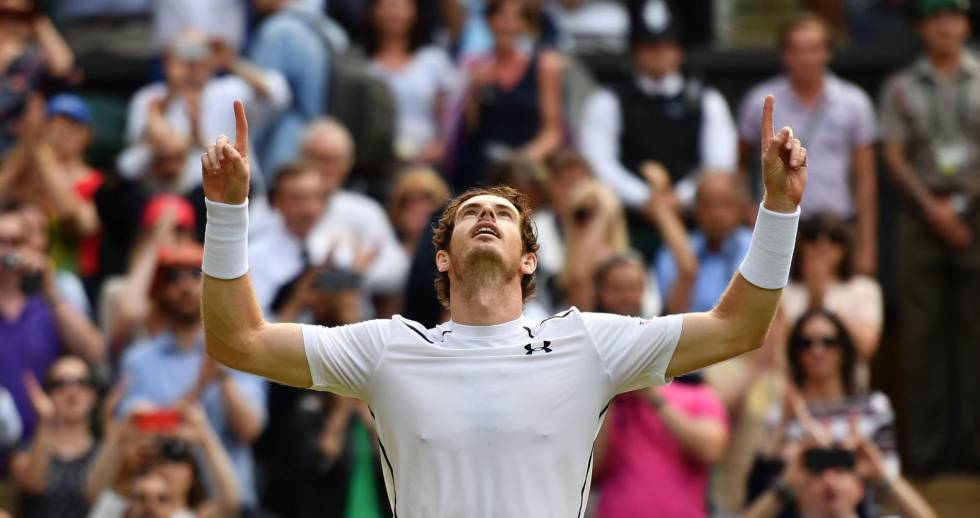 andy murray