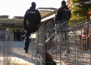 La policía detiene a 182 personas en una pelea ‘nacional’ de gallos en Murcia
