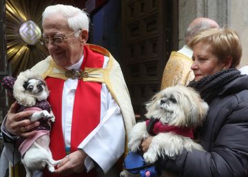 San Antón, el patrón de los animales
