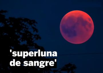 Superluna de sangre con eclipse lunar total: dónde y cuándo verlo