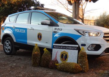 Cinco detenidos con cien kilos de caracoles en Castellón