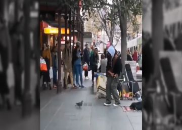 La verdad sobre la paloma que bailaba en una calle de Melbourne