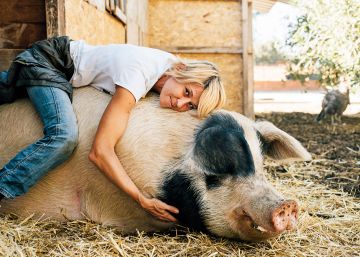 A era do veganismo: o fim dos prazeres da carne