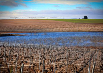 Las Tablas de Daimiel, en peligro