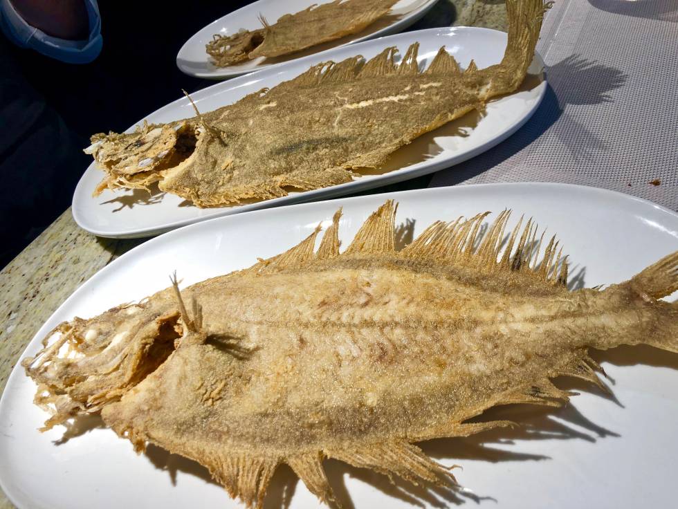 TRES GALLOS DE DIFERENTES PROCEDENCIAS FRITOS CAPEL