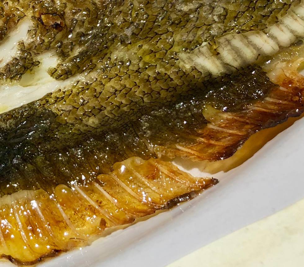 FILA DE ESPINAS LATERALES CON GELATINA Y CARNE ADHERIDAS, UNA DELICIA EN LOS PECES PLANOS CAPEL
