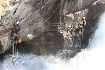 El último refugio del lobo marino