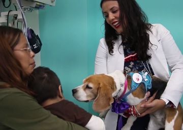 Perros que atienden y acompañan a niños con enfermedad terminal