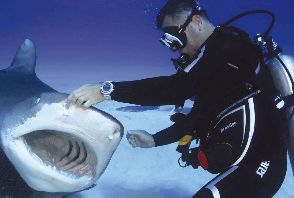 El hombre que juega con los tiburones