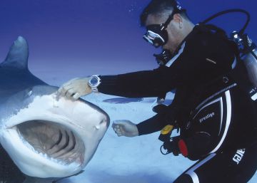El hombre que juega con los tiburones