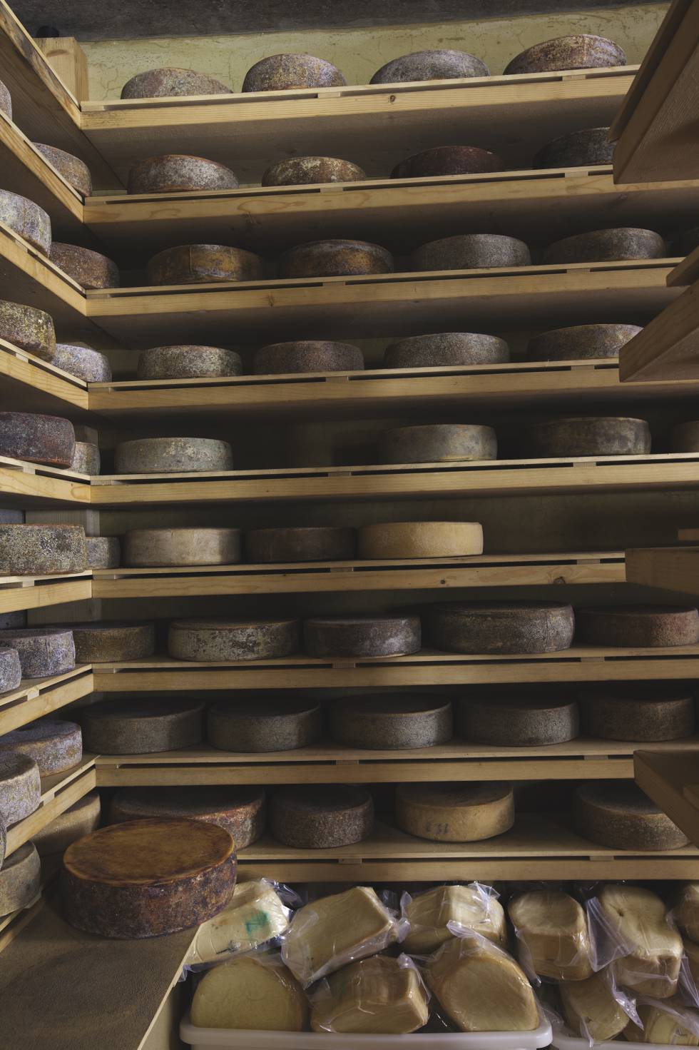 La cava de queso Tolmin del restaurante Hisa Franko.