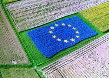 La revolución alimentaria que necesita Europa