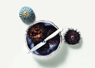 Por qué los erizos de mar triunfan en Instagram bajo la etiqueta 'urchin'