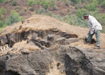 Os dinossauros não sumiram por conta de um meteorito