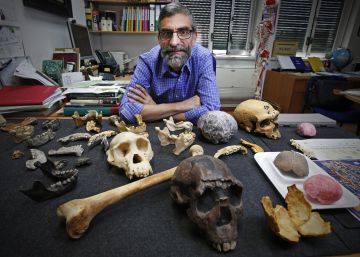 “La colaboración de los machos en la crianza es esencial en nuestra evolución”
