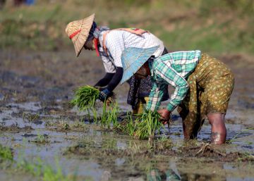 La pérdida de biodiversidad amenaza la variedad de alimentos que conocemos