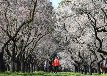 La primavera se asoma a la Quinta de los Molinos