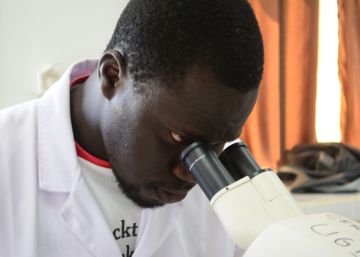 La enfermedad que te protege de la malaria, pero te puede matar