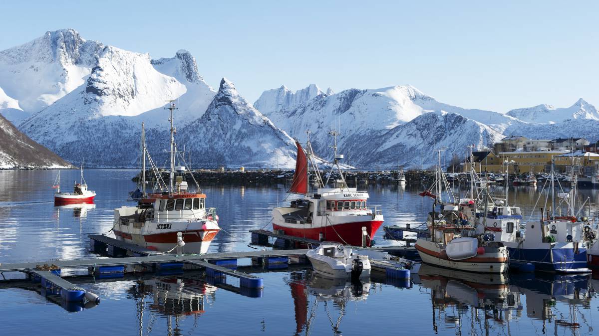 Barcos de pesca del skrei en el puerto de Husoya, en Noruega.