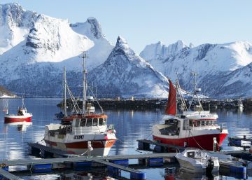 Skrei, un atleta en la mesa