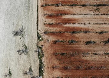 La tarea titánica de frenar el desierto