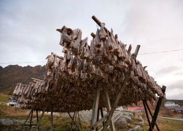 El cambio climático ya está reduciendo la pesca disponible