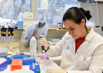 Segundo paciente sem rastro de HIV depois de um transplante de células-tronco